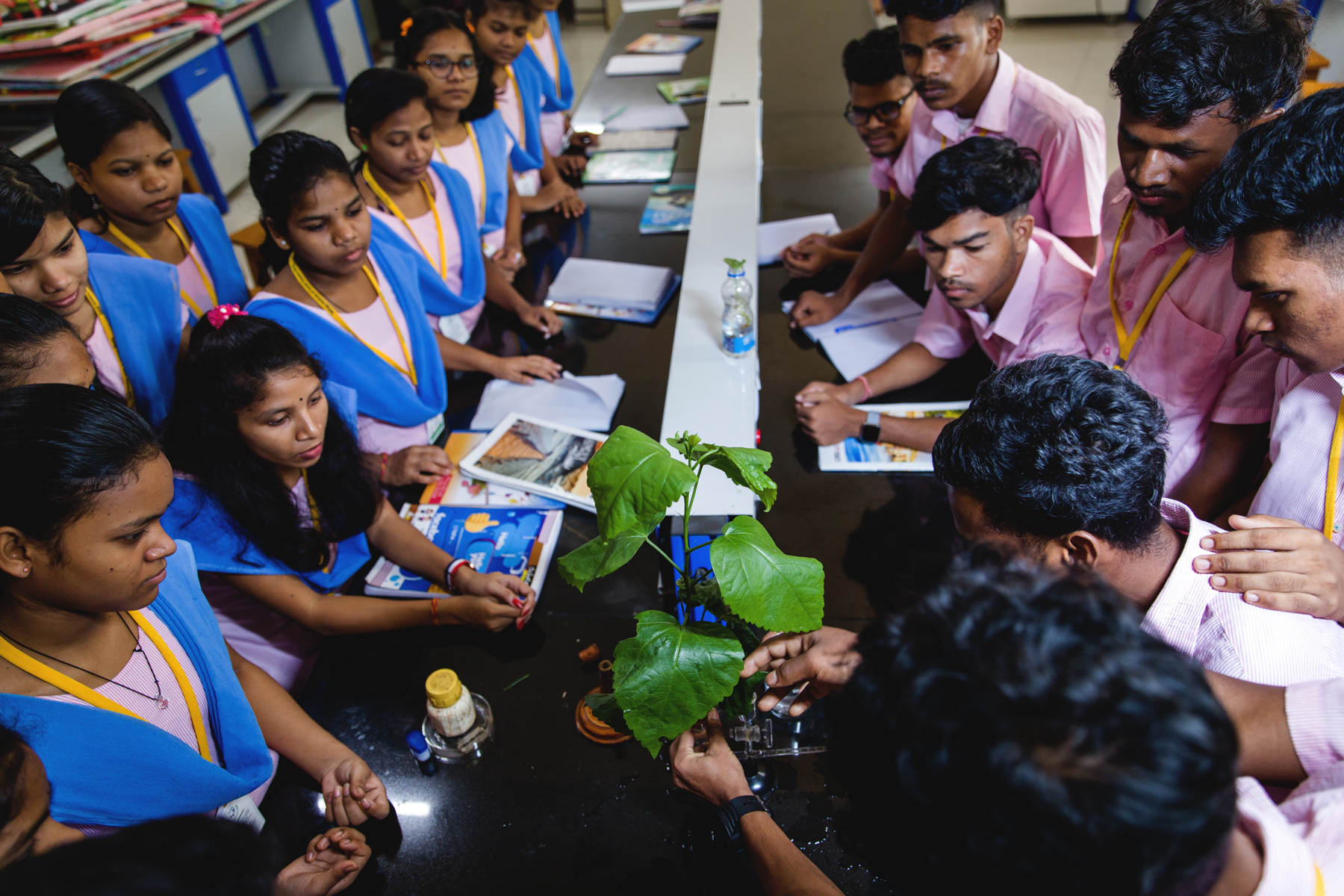 Botany lab