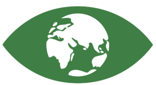 SDG 13 Climate Action