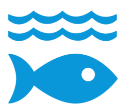 SDG 14 Life Below Water