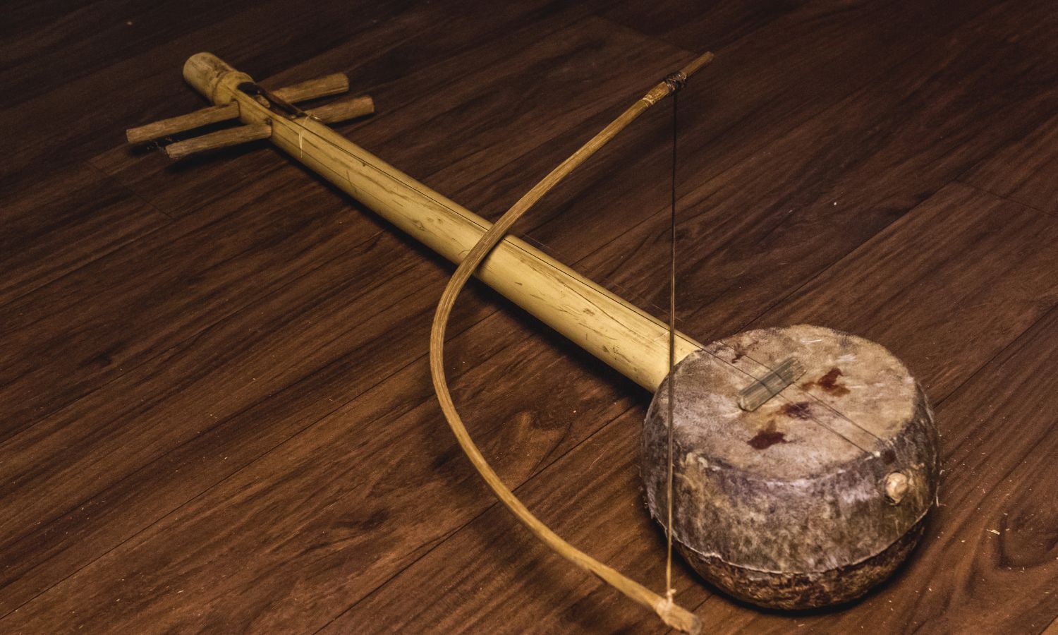 Saora