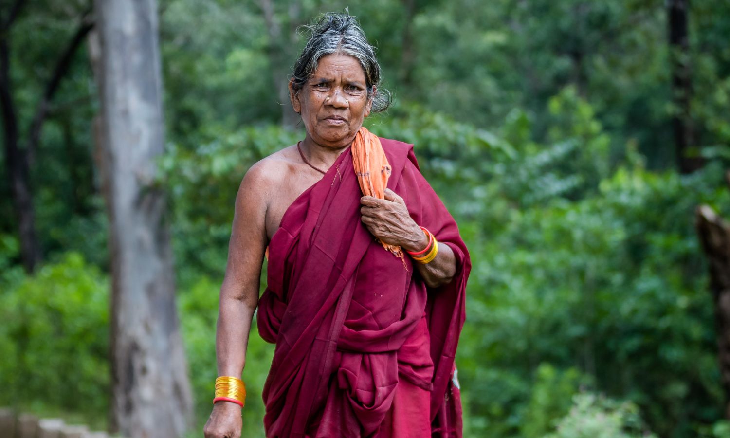 Paudi Bhuyan