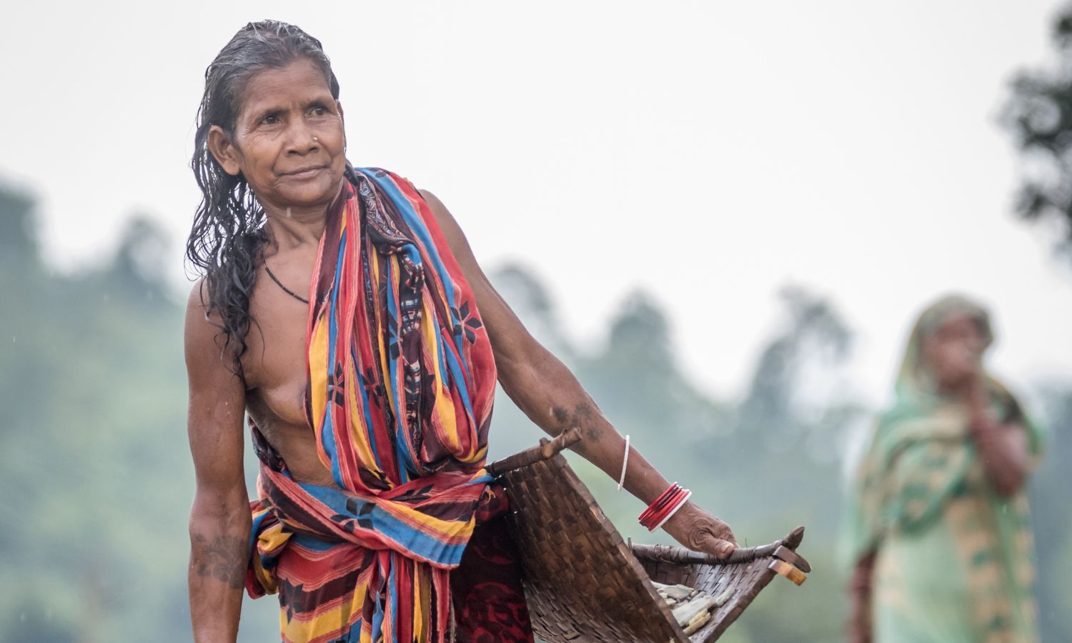 Paudi Bhuyan
